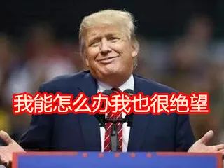 祺誠科技 祺誠科技